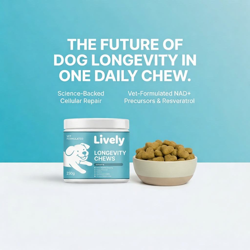 Lively Longevity Chews